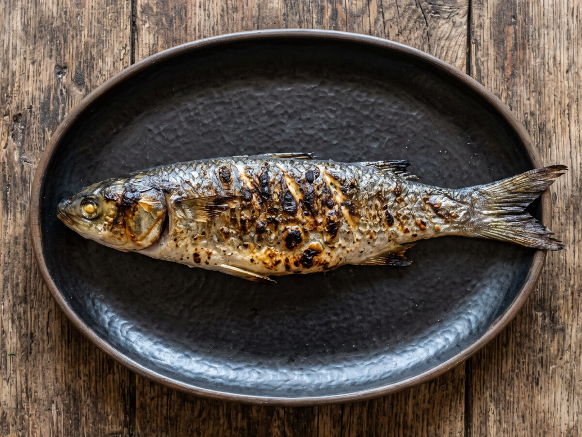 Muggine alla brace: sardische Meeräsche vom Grill